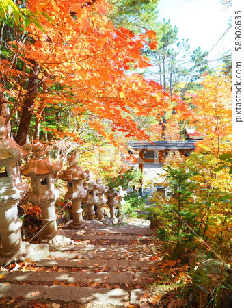 北海道風光 北海道風光 58908633