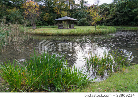 Kasumigaoka Nature Park 58909234