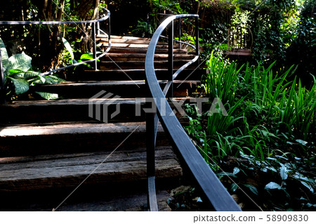 Wooden staircase in the woods. natural background 58909830