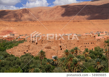 oasis 58909885