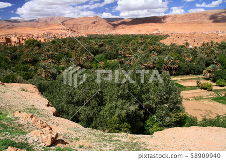 oasis oasis 58909940