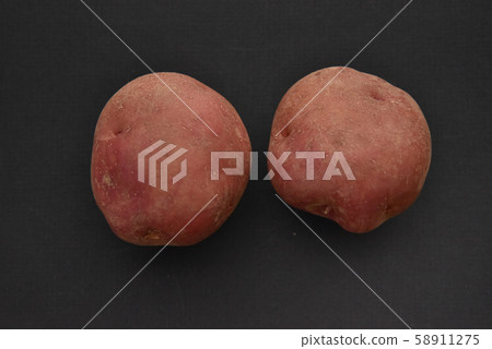 Potato "Andes Red" Potato "Andes Red" 58911275