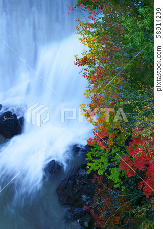 Landscape photo Autumn leaves of Hachimantai waterfall in Iwate 58914239