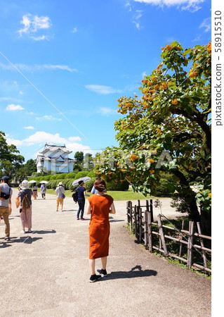 東南墨田區馬爾巴奇Shanoki牡蠣摧毀名古屋城堡名古屋城堡 東南墨田區馬爾巴奇Shanoki牡蠣摧毀名古屋城堡名古屋城堡 58915510