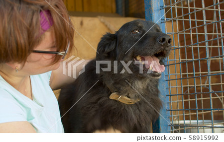 Volunteer in the nursery for dogs 58915992