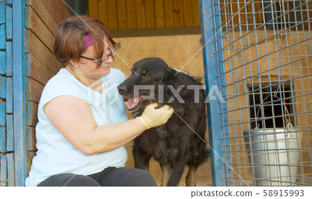 Volunteer in the nursery for dogs 58915993