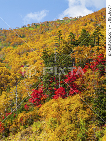 生動的秋天山表面與一點點藍天 生動的秋天山表面與一點點藍天 58916077