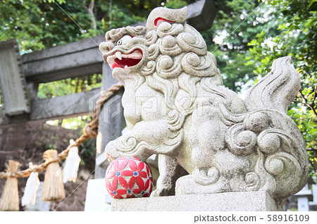 Komainu Agata playing soccer 58916109