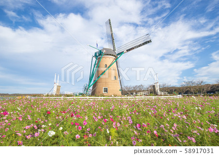 [Sakura City, Chiba Prefecture] Sakura Furusato Plaza (Cosmos) 58917031