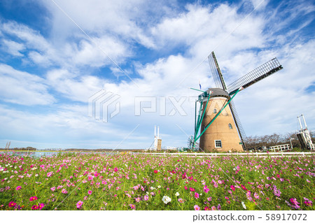 [Sakura City, Chiba Prefecture] Sakura Furusato Plaza (Cosmos) 58917072