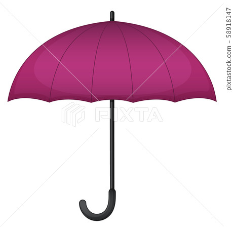 pink and purple umbrella