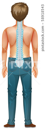 Back of male human with back pain 58918543
