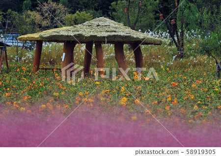 公園小屋 58919305