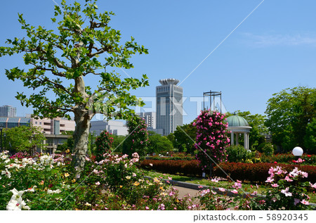 Vernie Park Yokosuka City Scenery in Shioi Town 58920345
