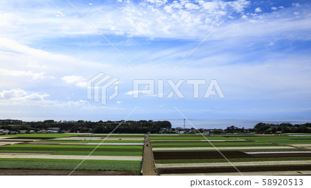 Field (autumn) 58920513