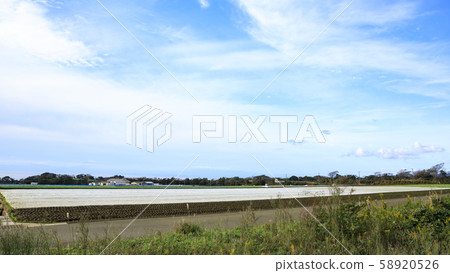 Field (autumn) 58920526