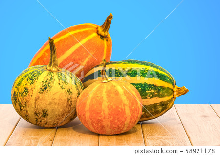 Set of squashes and pumpkins 3d rendering Set of squashes and pumpkins 3d rendering 58921178
