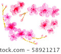 Plum watercolor illustration 58921217
