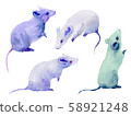 Mouse illustration watercolor hand drawn New Year's card material set 58921248