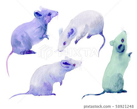 Mouse illustration watercolor hand drawn New Year's card material set Mouse illustration watercolor hand drawn New Year's card material set 58921248