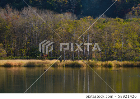  Autumn leaves and lake 58921426