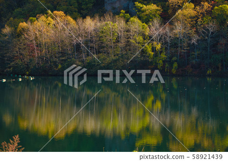 Autumn leaves and lake Autumn leaves and lake 58921439