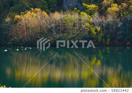 Autumn leaves and lake Autumn leaves and lake 58921442