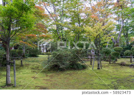 宮下幸治 宮下幸治 58923473