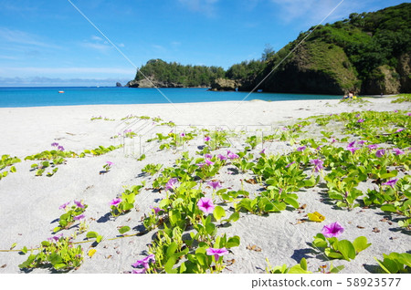 Kominato Beach (Chichijima / Ogasawara Islands) Kominato Beach (Chichijima / Ogasawara Islands) 58923577