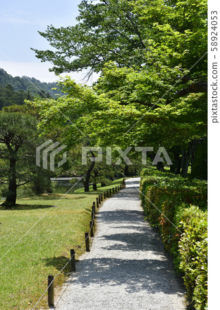 Shogakuin皇宮皇宮龍捲風池塘 58924053