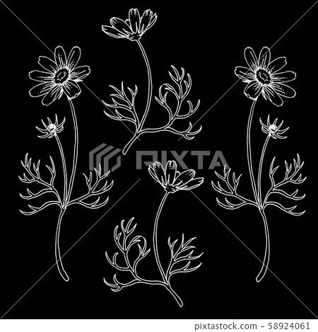 用圓珠筆繪製的宇宙裝飾材料 58924061