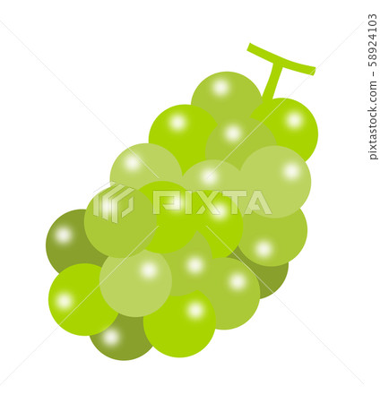 Muscat Muscat 58924103