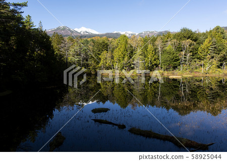 Ushidome Pond in autumn 58925044