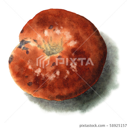 藍莓麵包圈麵包畫水彩 藍莓麵包圈麵包畫水彩 58925157