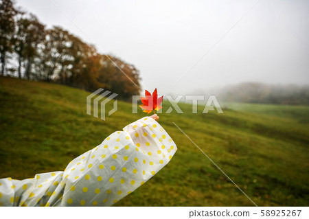 Autumn landscape 58925267