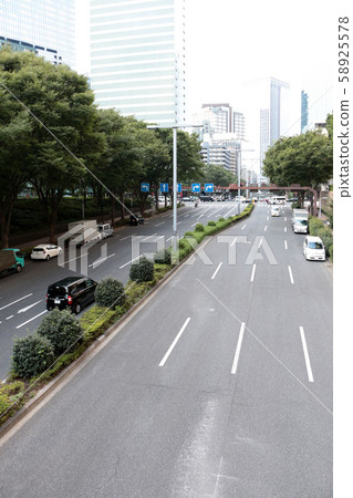 城市街頭樹木 城市街頭樹木 58925578