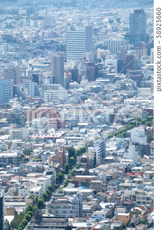 東京風光 58925660