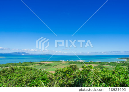 小濱島的風景(大竹) 小濱島的風景(大竹) 58925693
