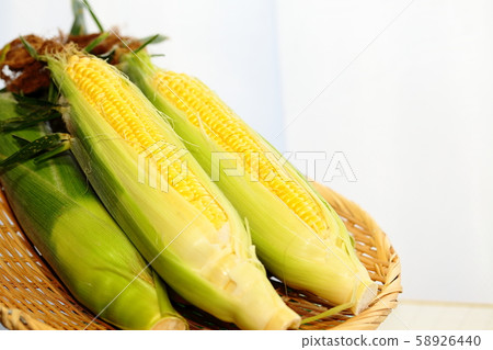 corn corn 58926440