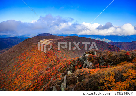 《Kuju Mountain Range, Oita Prefecture》 Autumn leaves on the ridge of Ofunayama 58926967