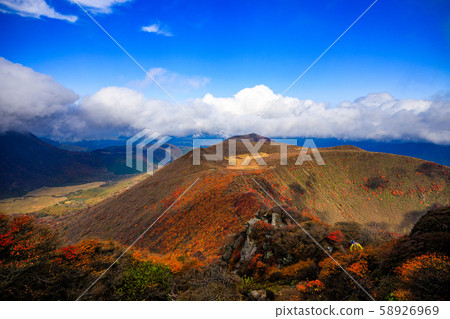 《大分縣九州山脈》大船山嶺上的秋葉 《大分縣九州山脈》大船山嶺上的秋葉 58926969