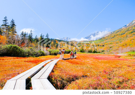 Tsugaike Nature Park (Autumn) 58927380