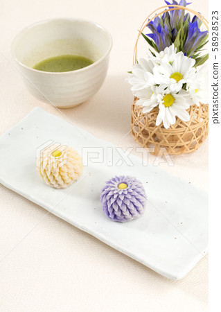 Scissors chrysanthemum 58928523