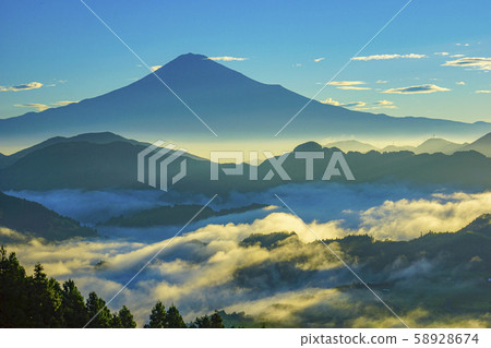 富士山Unkai茶園 富士山Unkai茶園 58928674