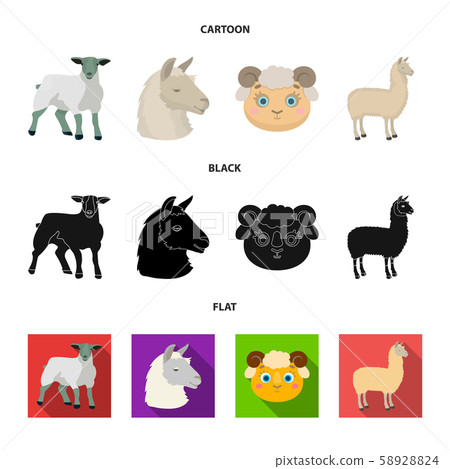 Vector illustration of sheep and goat icon. Collection of sheep and happy vector icon for stock. Vector illustration of sheep and goat icon. Collection of sheep and happy vector icon for stock. 58928824