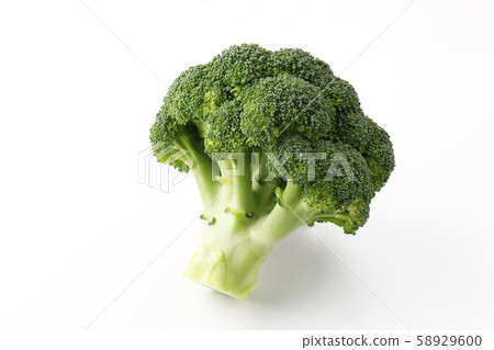 西蘭花 西蘭花 58929600