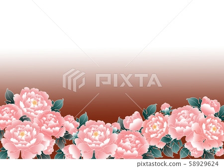 Peony flower illustration 2 58929624