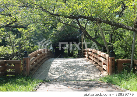 ■高藤城■洞爺門和櫻門橋■高藤城遺址公園■西田武之武田勝典■長野 58929779