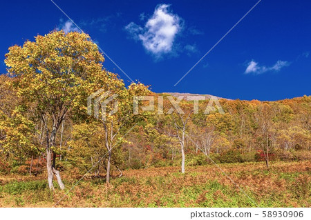Myoko City, Niigata Prefecture Autumn scenery of Myoko Kogen 58930906