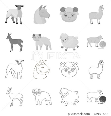 Vector design of sheep and goat sign. Collection of sheep and happy vector icon for stock. Vector design of sheep and goat sign. Collection of sheep and happy vector icon for stock. 58931888